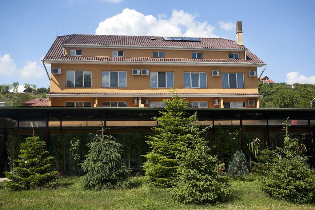 Hotel Terra Орадя Экстерьер фото